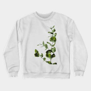 foliage Crewneck Sweatshirt